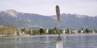 FAO’s Save Food study Save