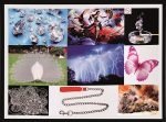 In-line cold foiling – the fascination of metallic effects metallic