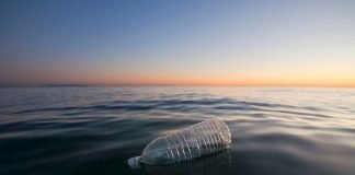 plastic