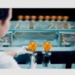Business value from trends in packaging automation packaging