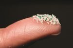 microbeads