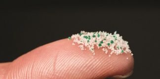 microbeads