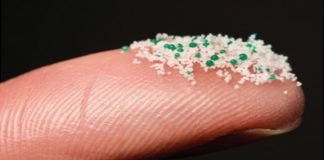 microbeads