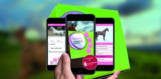 Constantia Interactive connects products with the digital world.