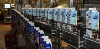 Valio wins the Best sustainability/CSR initiative category in the World Dairy Innovation Awards