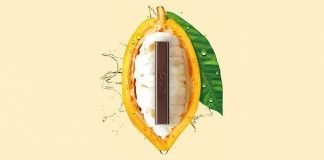 Unique chocolate made entirely from the cocoa fruit