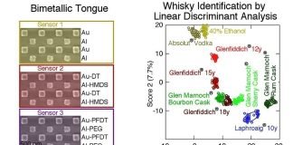 Artificial tongue