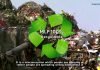 Recycling multi-layer plastics