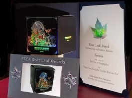 FSEA Award 27th Annual Gold Leaf Awards Competition, June 2020. Fresnels Innovations awarded Silver in category ‘Best Use of Holographics’. Citation reads For Plastic Free, Recyclable Poseidon box. Photo Fresnels