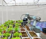 Future of Food