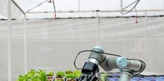 Future of Food