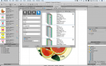 Tilia Labs