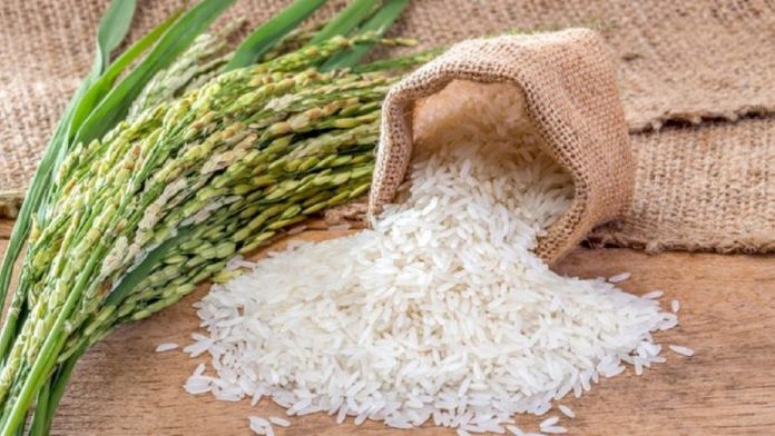 india-rice-export-1530355033-1568428150 Basmati Rice