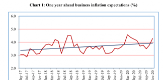 BIES Survey November 2020