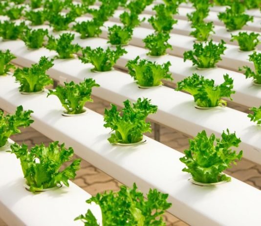 Engineering a circular food economy