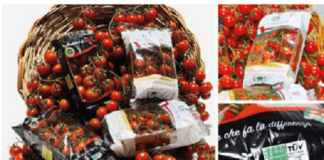 NatureFlex compostable films