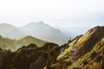 HP sets aggressive climate goals