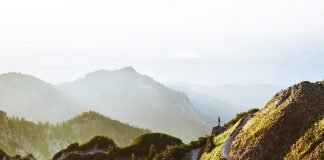 HP sets aggressive climate goals