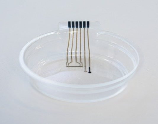 Greiner smart petri dish