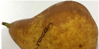 Natural branding of fresh fruit and vegetables using Raylase's blue laser Photo Raylase