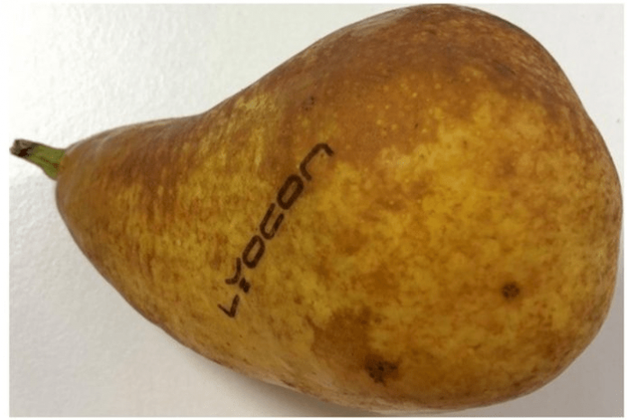 Natural branding of fresh fruit and vegetables using Raylase's blue laser Photo Raylase