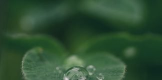Ecoblue