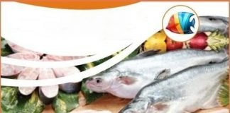 Frozen seafood packaging | CCMB