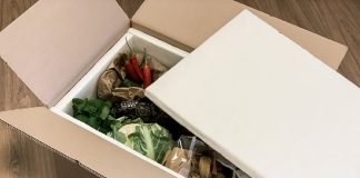 Stora Enso introducing fibrease, which is fully recyclable and can be used for protective and thermal packaging