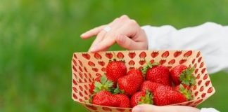 hubergroup launches sheetfed offset ink series for direct food contact
