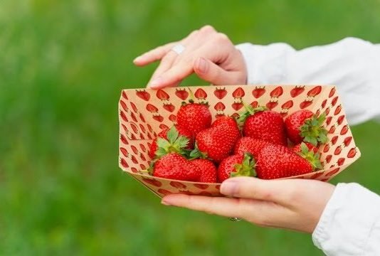 hubergroup launches sheetfed offset ink series for direct food contact