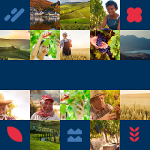 All4Labels has launched a campaign to develop the wine and spirits sector sustainably