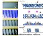 Novel patterning research, Toppan