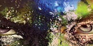 Amplify is opening with a pre-event sustainability summit on 13 June and will continue till 16 June 2022 at the Minneapolis Convention Center Photo: Amplify