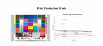Printability of Coated Papers with changes in Coating Binders Test image and result of evaluations of different coating binders on a variety of Indian papers and paperboards Images Kiran Prayagi