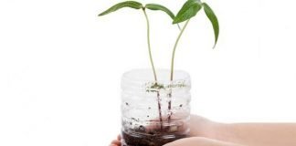 Bioplastics