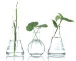 Lanxess aims to be climate-neutral by 2050 Lanxess