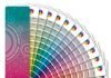 Color
