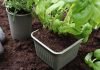 bioplastics