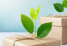 The new guidelines mandate companies making environmental claims on sustainable products to disclose all material information in advertisements or communications, either through QR codes, URLs, or other digital media.