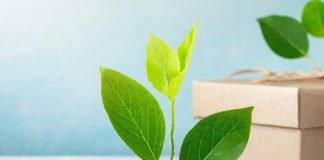 The new guidelines mandate companies making environmental claims on sustainable products to disclose all material information in advertisements or communications, either through QR codes, URLs, or other digital media.
