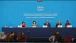 The first part of the fifth session (INC-5.1) to negotiate a plastics treaty, which took place from 25 November to 1 December 2024 in Busan, Republic of Korea, had ended in a stalemate.