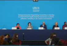 The first part of the fifth session (INC-5.1) to negotiate a plastics treaty, which took place from 25 November to 1 December 2024 in Busan, Republic of Korea, had ended in a stalemate.