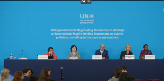 The first part of the fifth session (INC-5.1) to negotiate a plastics treaty, which took place from 25 November to 1 December 2024 in Busan, Republic of Korea, had ended in a stalemate.
