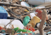 bioplastics