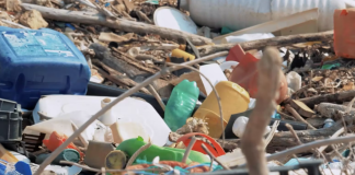 Bioplastics – prepare for the long road ahead bioplastics