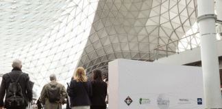 Innovation Alliance 2025