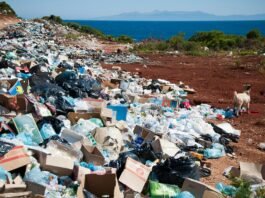 plastic