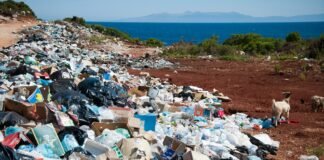 plastic