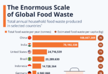 Food Waste and the FoodTekPack Conference on December 11 & 12