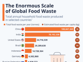 Food Waste and the FoodTekPack Conference on December 11 & 12